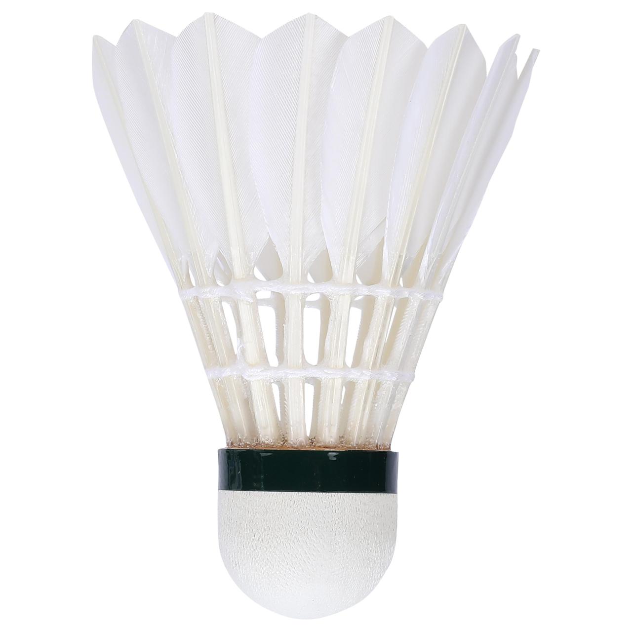 BL025AS5055312X1S3_4